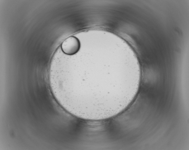 X0000114581338200910191046