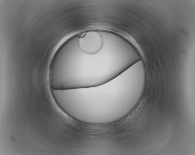X0000114581339200910191046