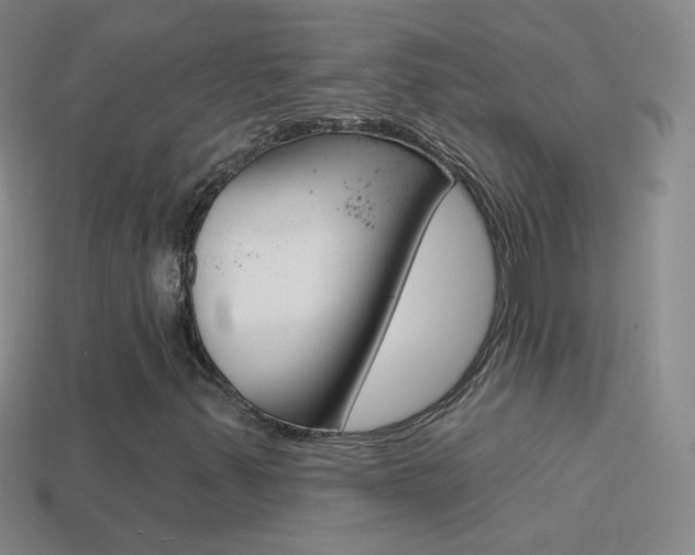 X0000114581347200910191046