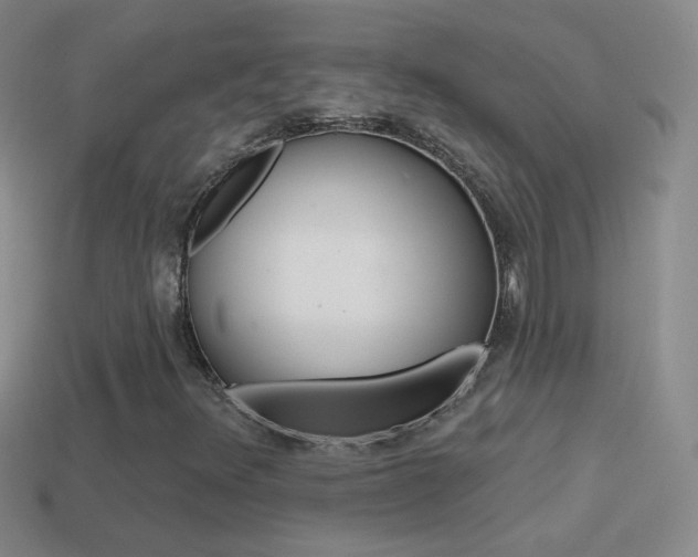 X0000114581348200910191046