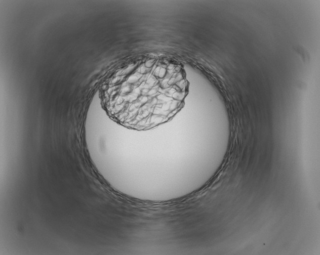 X0000114581349200910191046