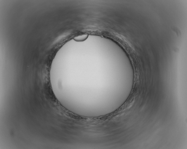 X0000114581350200910191046