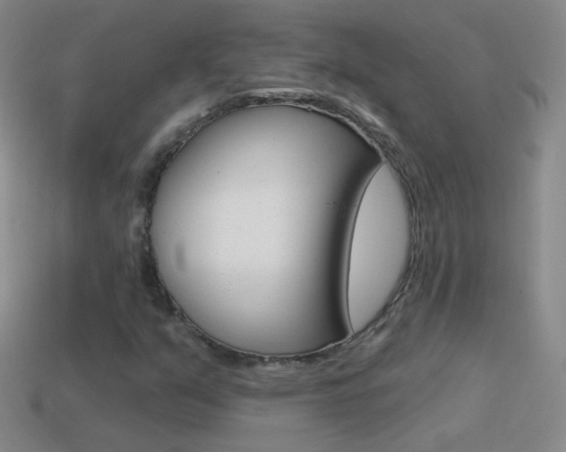X0000114581351200910191046