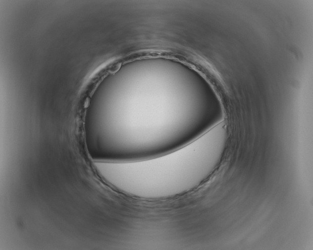 X0000114581352200910191046