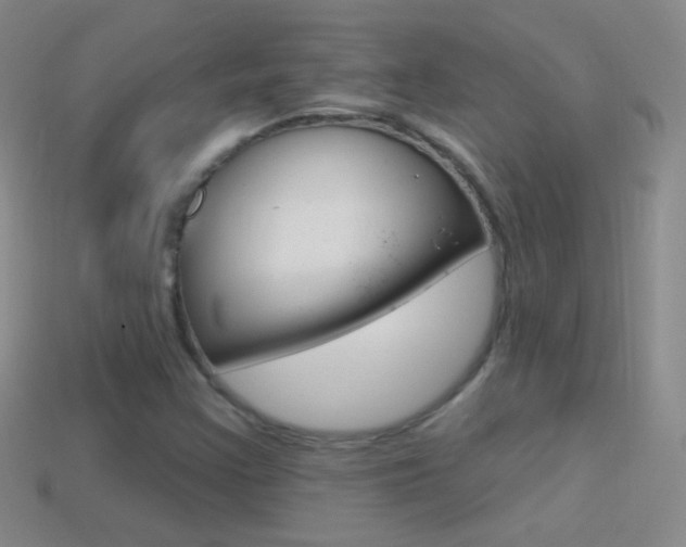 X0000114581355200910191046