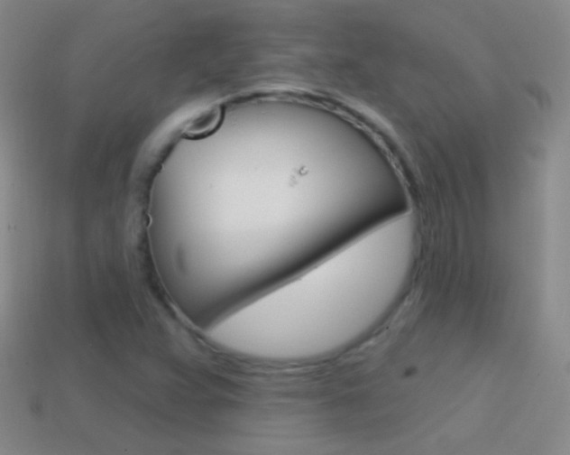 X0000114581359200910191046