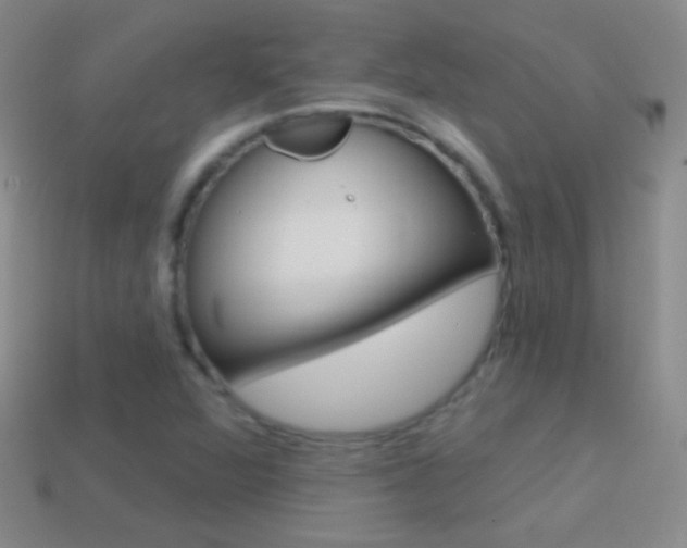X0000114581360200910191046