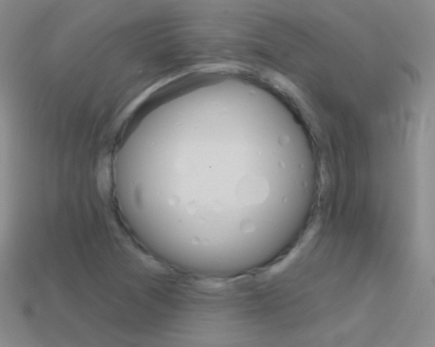 X0000114581361200910191046