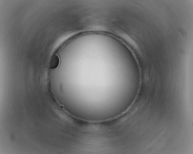 X0000114581364200910191046