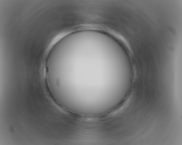 X0000114581365200910191046