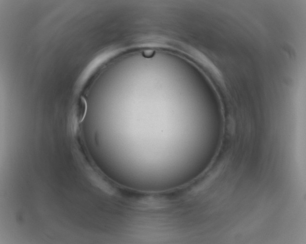 X0000114581368200910191046