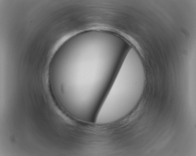 X0000114581375200910191045