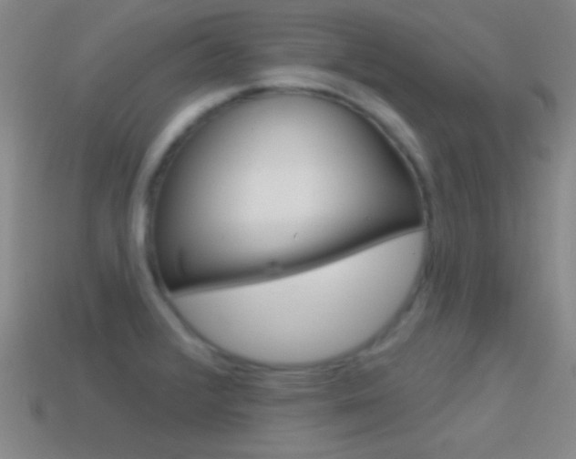 X0000114581376200910191045
