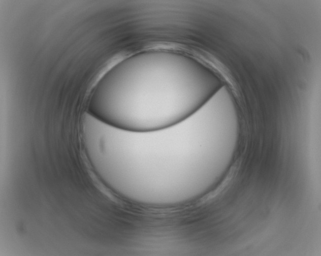 X0000114581377200910191045