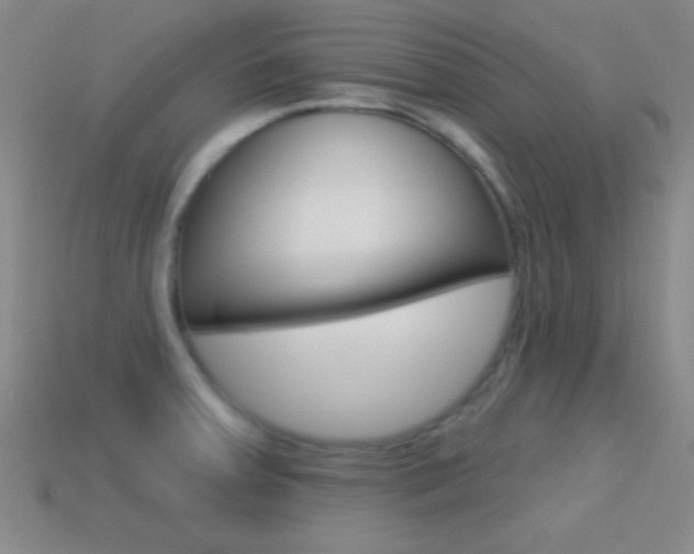 X0000114581379200910191045