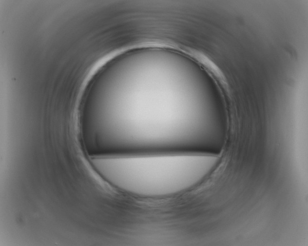 X0000114581380200910191045