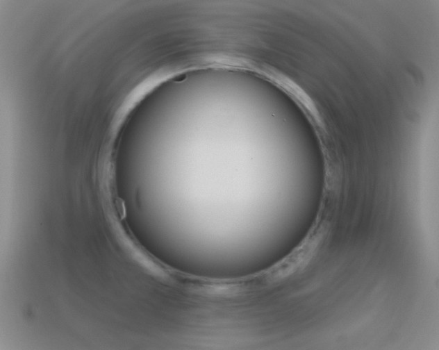 X0000114581381200910191045