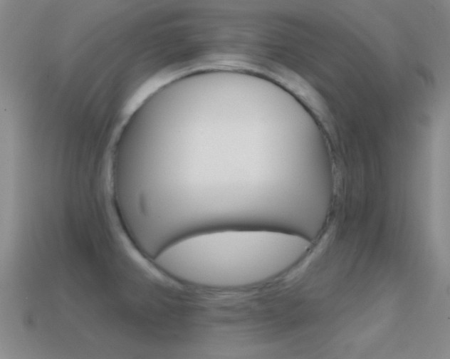 X0000114581382200910191045