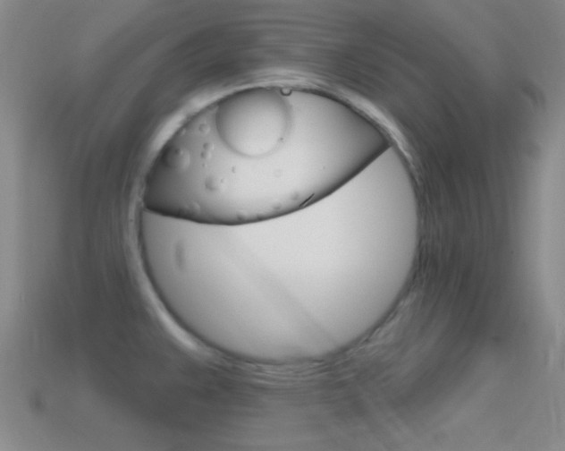 X0000114581383200910191045