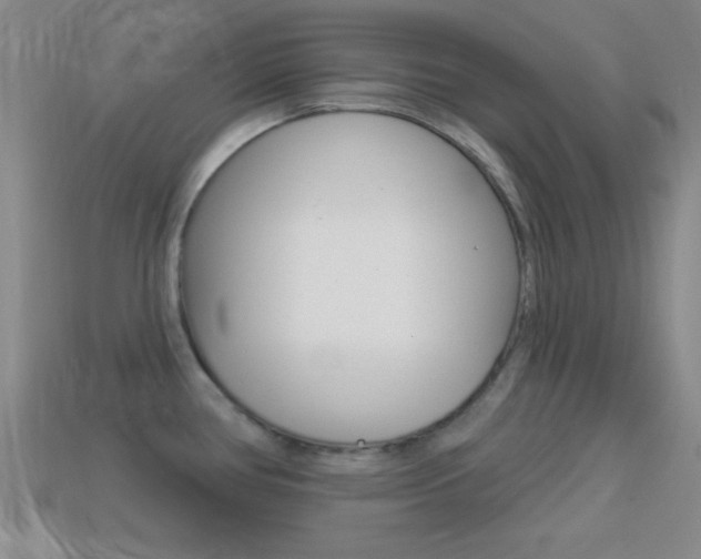 X0000114581386200910191045