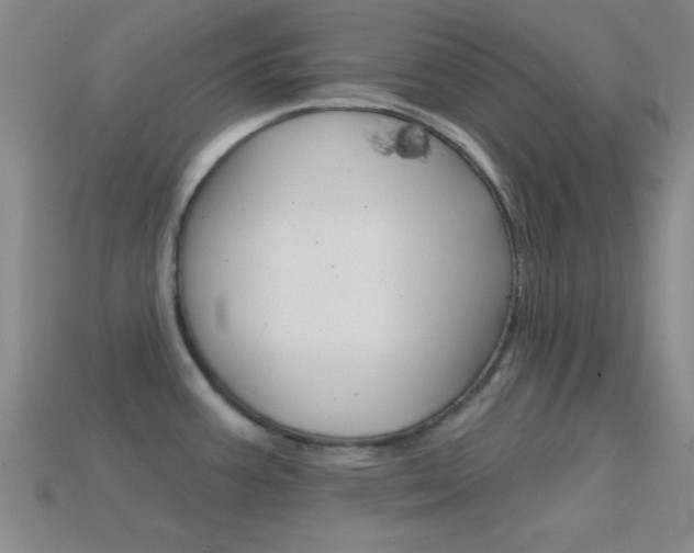 X0000114581387200910191045