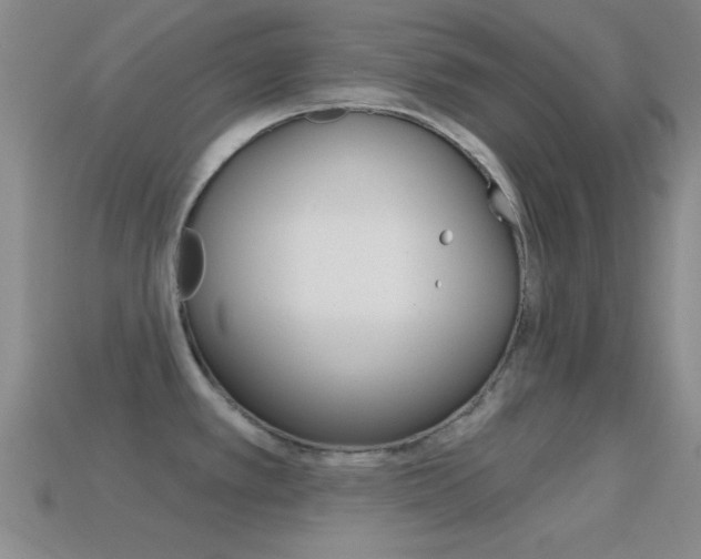 X0000114581389200910191045