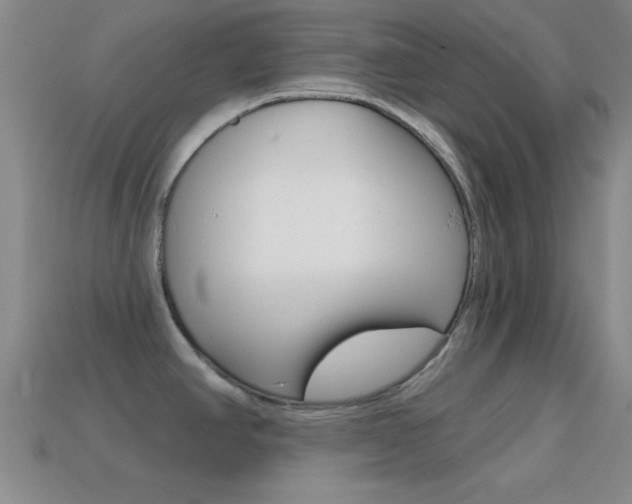 X0000114581390200910191045