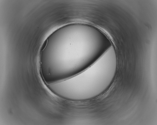 X0000114581391200910191045
