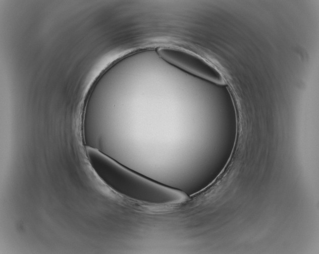 X0000114581392200910191045