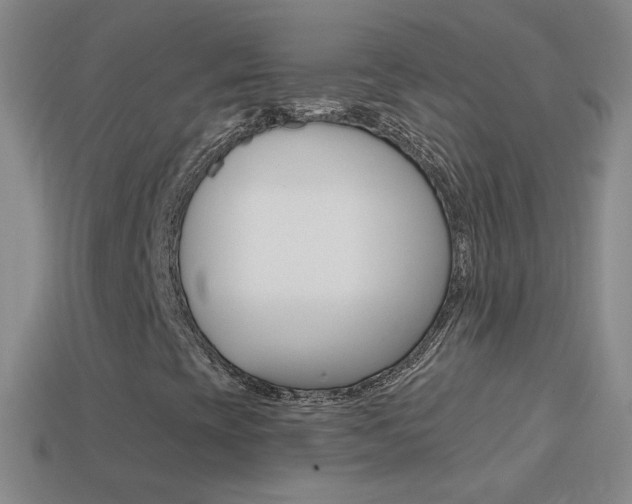 X0000114581393200910191044