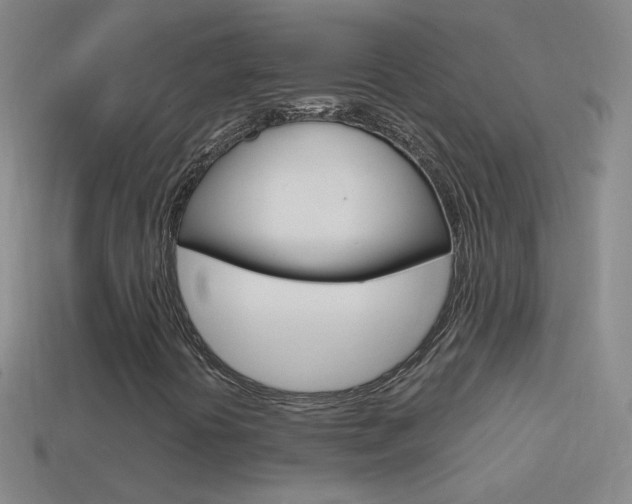 X0000114581394200910191044
