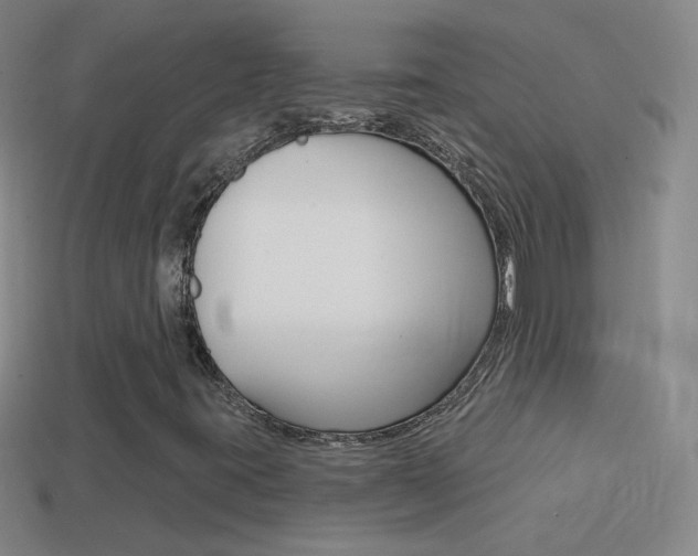 X0000114581395200910191045