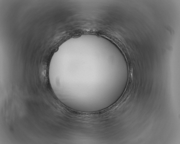 X0000114581396200910191045
