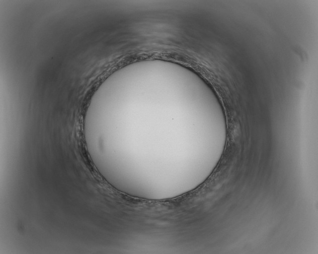 X0000114581397200910191045