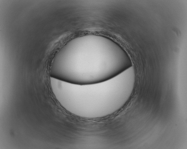 X0000114581398200910191045