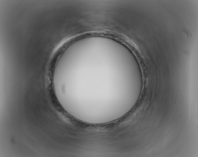X0000114581400200910191045