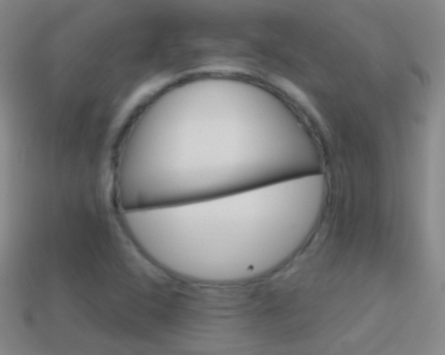 X0000114581408200910191045