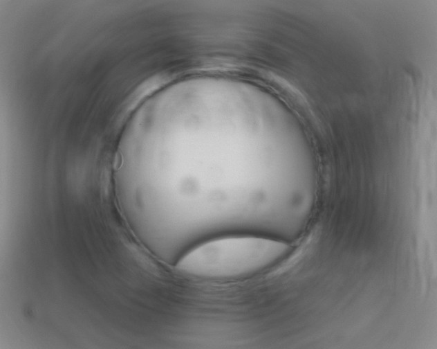 X0000114581409200910191045