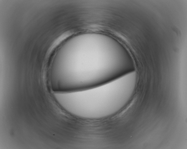 X0000114581410200910191045