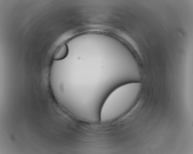 X0000114581411200910191045