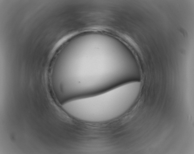 X0000114581412200910191045
