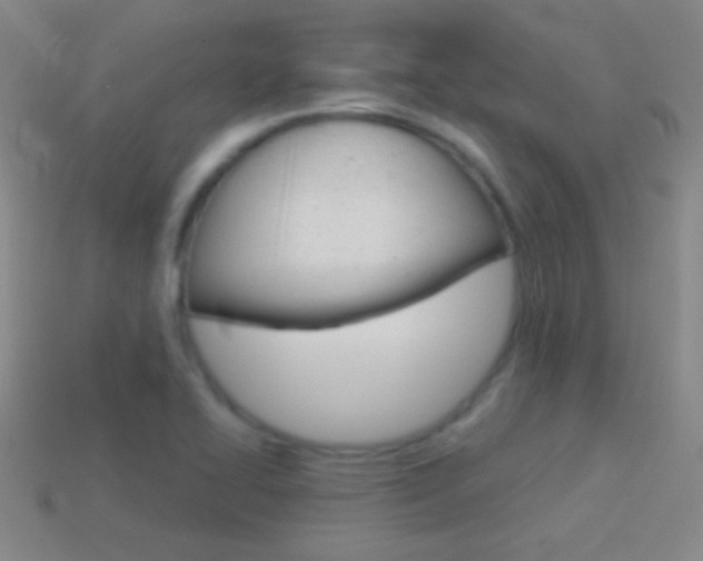 X0000114581414200910191045