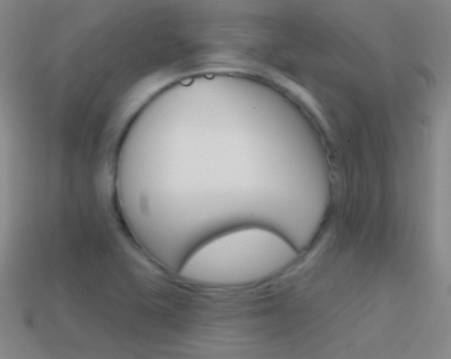 X0000114581415200910191045