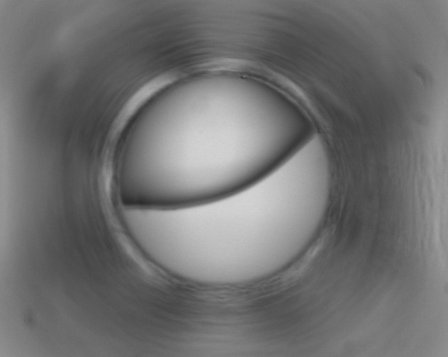X0000114581418200910191045