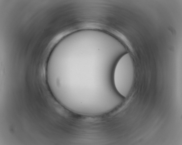 X0000114581419200910191045
