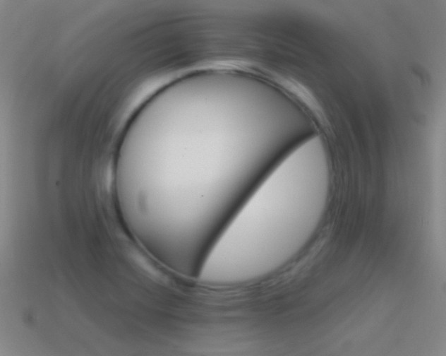 X0000114581420200910191045