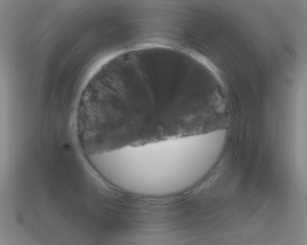 X0000114581423200910191045