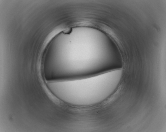 X0000114581426200910191045