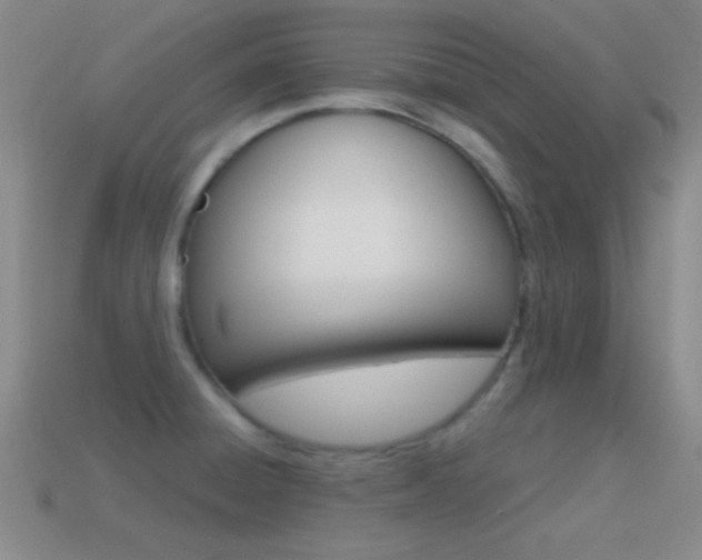 X0000114581428200910191045