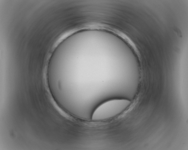 X0000114581429200910191045